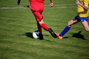 星空游戏平台-NBA球员训练计划优化设计，nba运动员训练计划